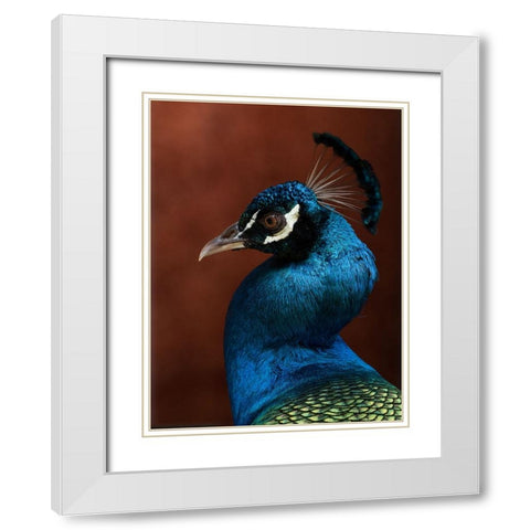 Seduction mode White Modern Wood Framed Art Print with Double Matting by Dessureault, Patrick