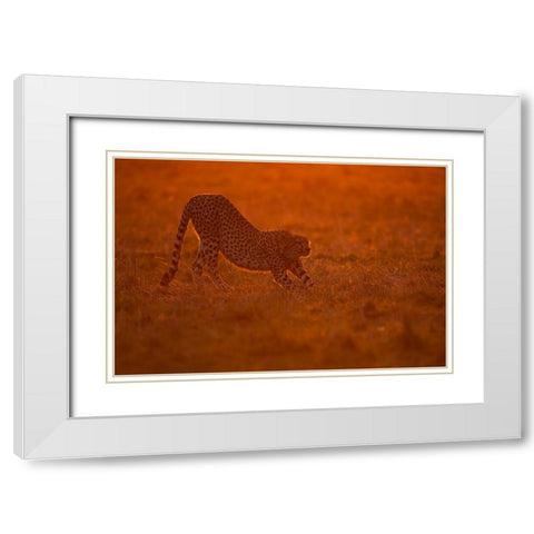 Relax At Dawn White Modern Wood Framed Art Print with Double Matting by Pozzi, Marco