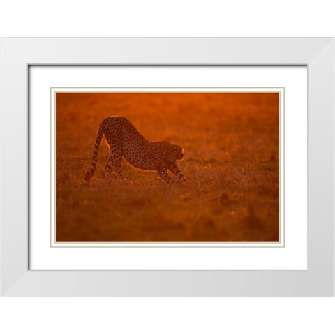 Relax At Dawn White Modern Wood Framed Art Print with Double Matting by Pozzi, Marco