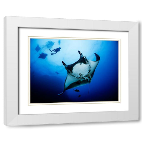 Isla Socorro White Modern Wood Framed Art Print with Double Matting by Ichinoseki, Sayaka