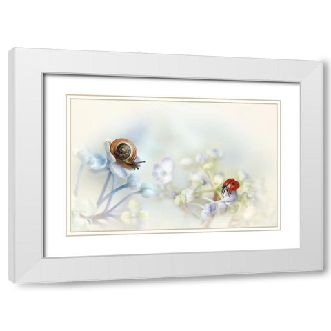 Snail And Ladybird On Hydrangea White Modern Wood Framed Art Print with Double Matting by Van Deelen, Ellen