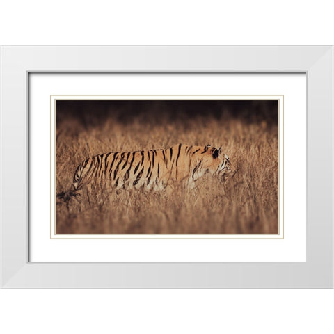 Artistic Tiger Camouflage White Modern Wood Framed Art Print with Double Matting by Sharma, Abhinav