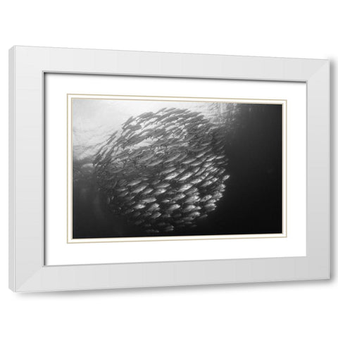 Ball White Modern Wood Framed Art Print with Double Matting by Y Lin, Ryan