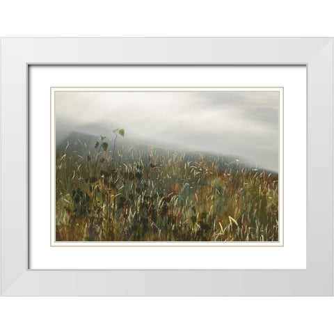 In the field White Modern Wood Framed Art Print with Double Matting by Talen, Nel