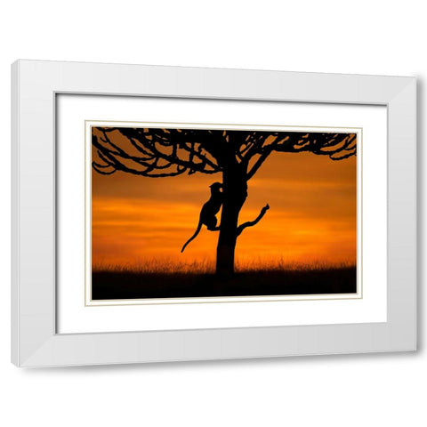 Back home White Modern Wood Framed Art Print with Double Matting by Ortega, Xavier