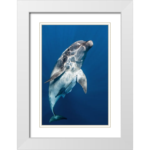 Hello you ! White Modern Wood Framed Art Print with Double Matting by Peneau, Cedric