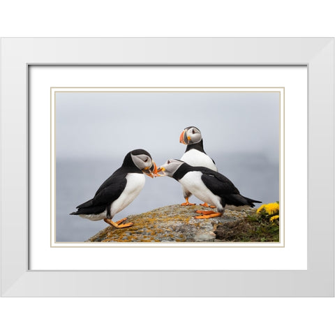 Trio White Modern Wood Framed Art Print with Double Matting by Fu, Molly