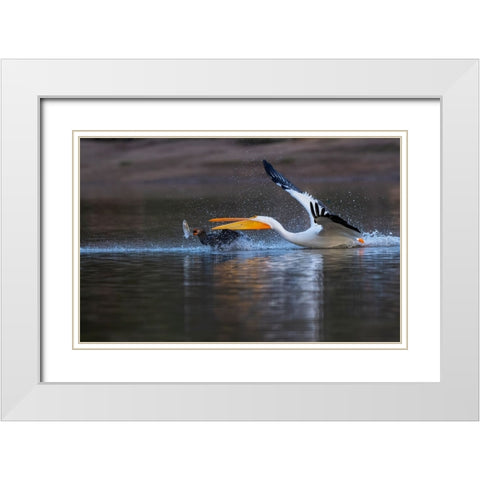 Gimme The Fish! White Modern Wood Framed Art Print with Double Matting by Tseng, Judy