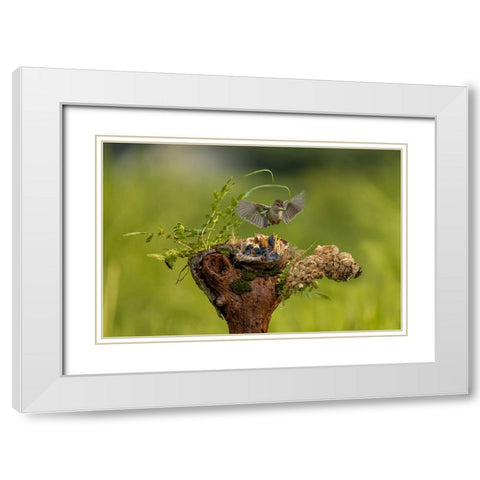 The Babies Need Feeding White Modern Wood Framed Art Print with Double Matting by Widjaja, Sally