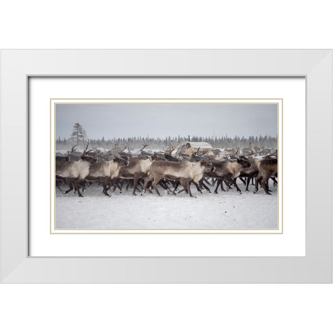Herd In The Camp White Modern Wood Framed Art Print with Double Matting by Rebro, Marcel
