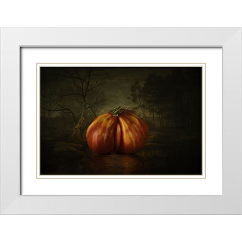 Still Life White Modern Wood Framed Art Print with Double Matting by Vladimir Anton, Mihai