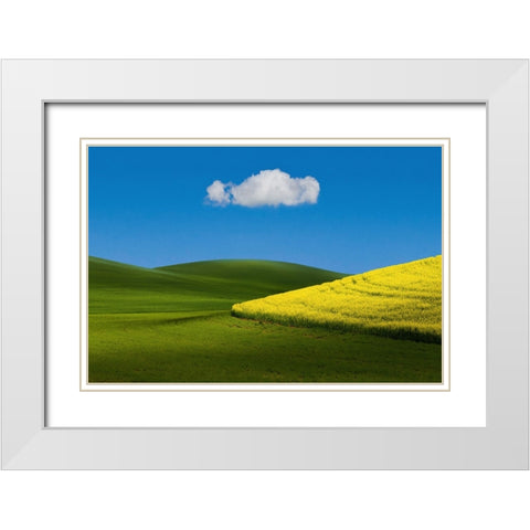 Field Tone White Modern Wood Framed Art Print with Double Matting by Xu, Tony