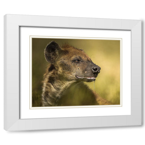 SalIVa White Modern Wood Framed Art Print with Double Matting by Sobhi, Ahmed