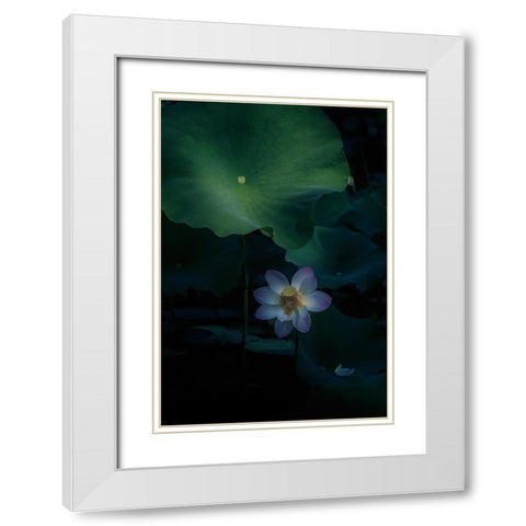 Comfort Zone! White Modern Wood Framed Art Print with Double Matting by Tseng, Judy