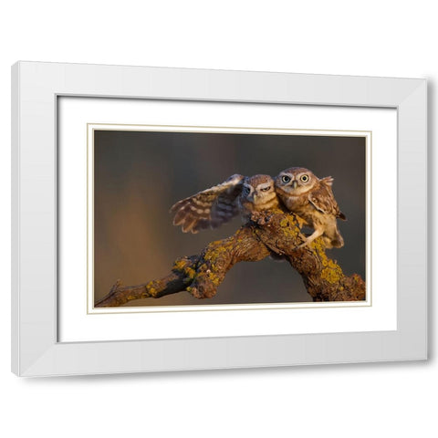 Sweet Couple White Modern Wood Framed Art Print with Double Matting by Manusevich, David