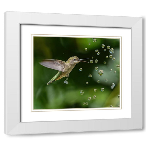 In The World Of Crystals White Modern Wood Framed Art Print with Double Matting by Huang, Xiaojian