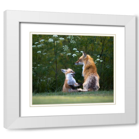 Mommy IM Hungry ! White Modern Wood Framed Art Print with Double Matting by Tseng, Judy