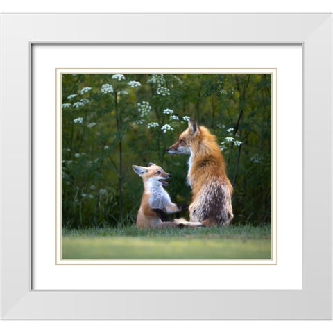 Mommy IM Hungry ! White Modern Wood Framed Art Print with Double Matting by Tseng, Judy