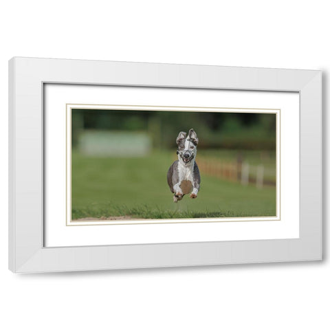 IM Coming ! White Modern Wood Framed Art Print with Double Matting by Engelbos, Mieke