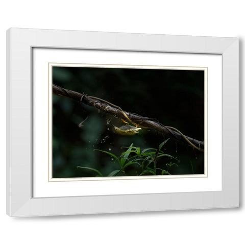 The Water Sipper White Modern Wood Framed Art Print with Double Matting by Chakraborty, Chiranjib