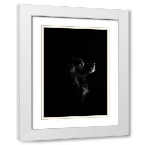 Black Dog White Modern Wood Framed Art Print with Double Matting by Casado Gutierrez, Paula