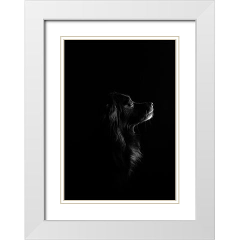 Black Dog White Modern Wood Framed Art Print with Double Matting by Casado Gutierrez, Paula