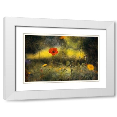 Poppy White Modern Wood Framed Art Print with Double Matting by Van Der, Jan