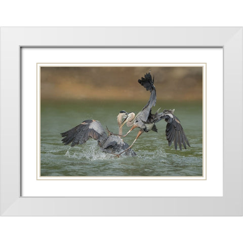 N/A White Modern Wood Framed Art Print with Double Matting by Li, Alex