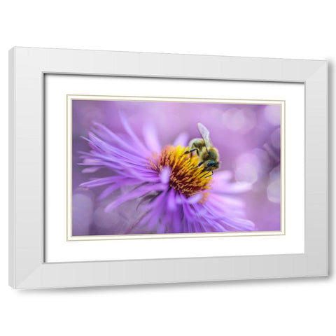 Hard Worker White Modern Wood Framed Art Print with Double Matting by Kazun, Andrii