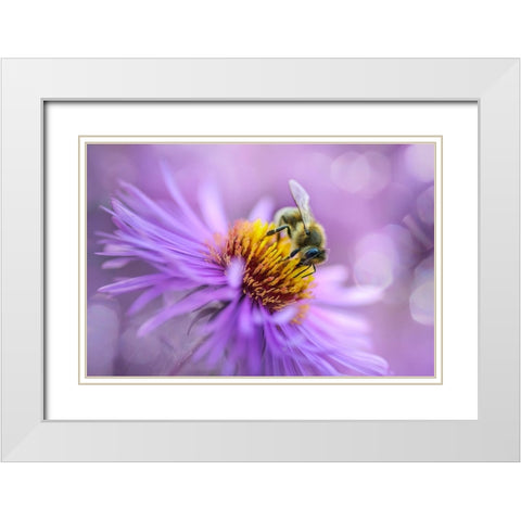 Hard Worker White Modern Wood Framed Art Print with Double Matting by Kazun, Andrii