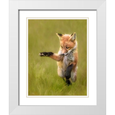 Playful White Modern Wood Framed Art Print with Double Matting by D. Tang, Lisa