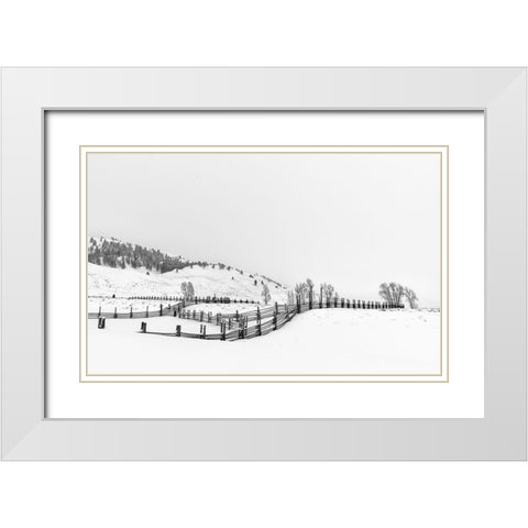 After Snow White Modern Wood Framed Art Print with Double Matting by Xie, Louise