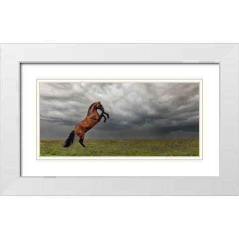 The king of the fields White Modern Wood Framed Art Print with Double Matting by Weerink, Celine