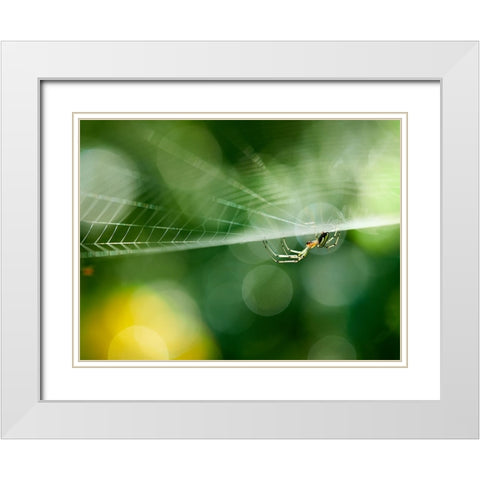 Ambush White Modern Wood Framed Art Print with Double Matting by Hirai, Takiko