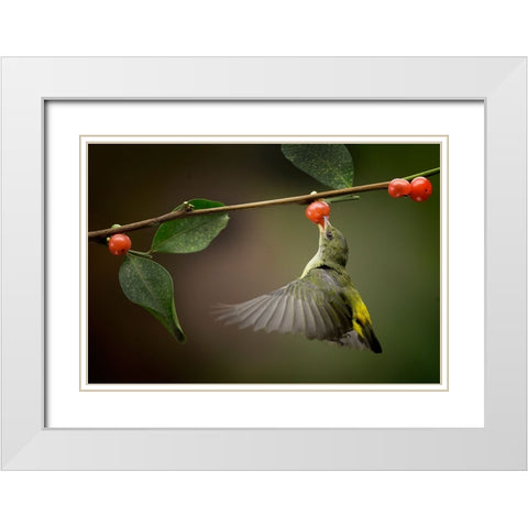Sweet White Modern Wood Framed Art Print with Double Matting by Muliani Hartojo, Angela