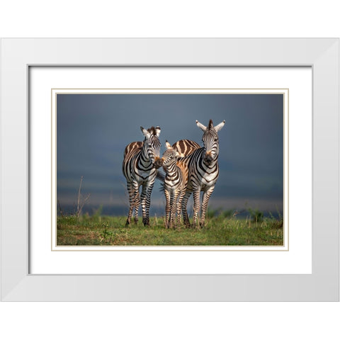 Family Portrait White Modern Wood Framed Art Print with Double Matting by Ortega, Xavier