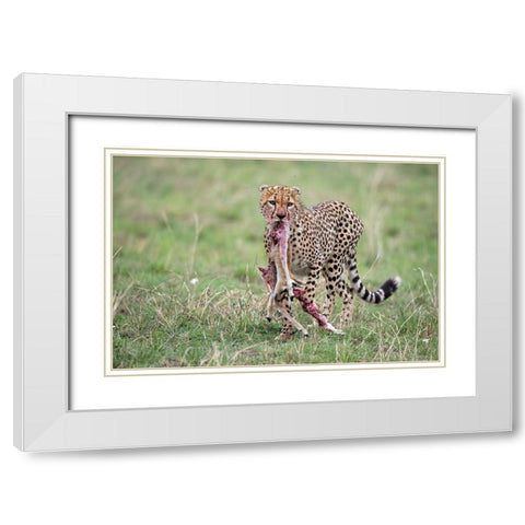 Kill White Modern Wood Framed Art Print with Double Matting by Pozzi, Marco