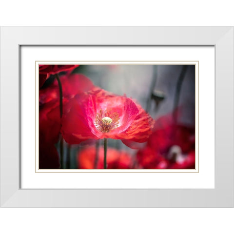 In The Shadows White Modern Wood Framed Art Print with Double Matting by Parker, Jacky