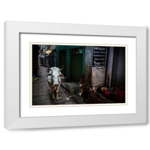 Interludes IV - A Photo Collection White Modern Wood Framed Art Print with Double Matting by Steverson, Michael