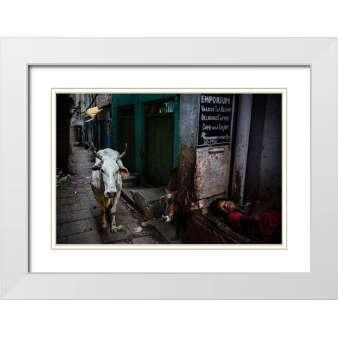 Interludes IV - A Photo Collection White Modern Wood Framed Art Print with Double Matting by Steverson, Michael