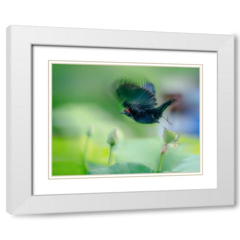 Black Bird Flying Over Lotus Seed Pod White Modern Wood Framed Art Print with Double Matting by Liang, Ken