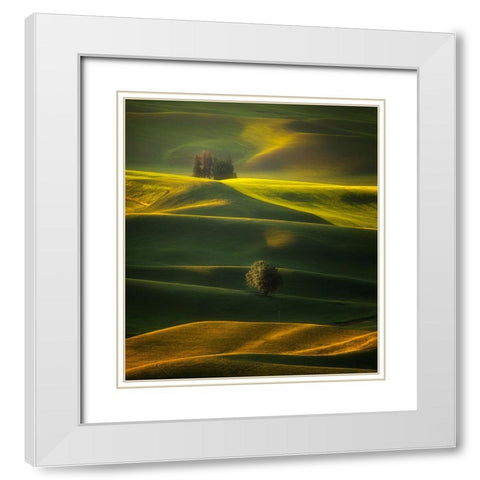 Golden Hours Of The Palouse White Modern Wood Framed Art Print with Double Matting by Zhang, Joan