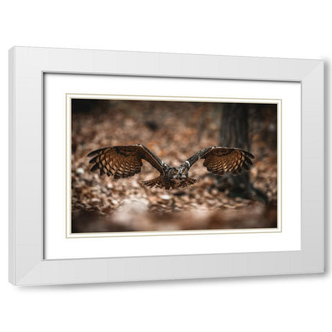 The Eurasian Eagle-Owl (Bubo Bubo) White Modern Wood Framed Art Print with Double Matting by Rozehnal, Jan