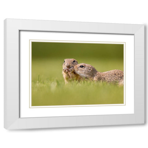 Together White Modern Wood Framed Art Print with Double Matting by And Wei, Siyu