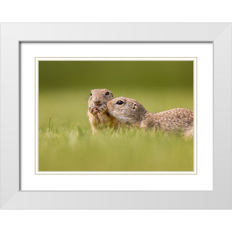 Together White Modern Wood Framed Art Print with Double Matting by And Wei, Siyu