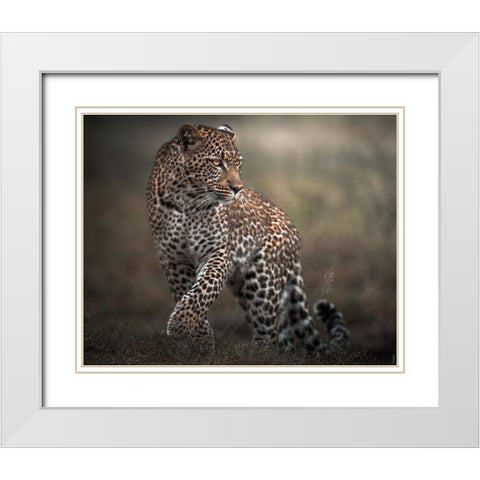 Surprise White Modern Wood Framed Art Print with Double Matting by Sobhi, Ahmed