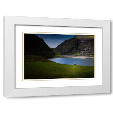 Lonely White Modern Wood Framed Art Print with Double Matting by Zhang, Dennis