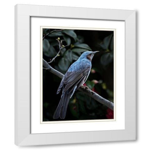 My Blue Bird White Modern Wood Framed Art Print with Double Matting by Hirai, Takiko