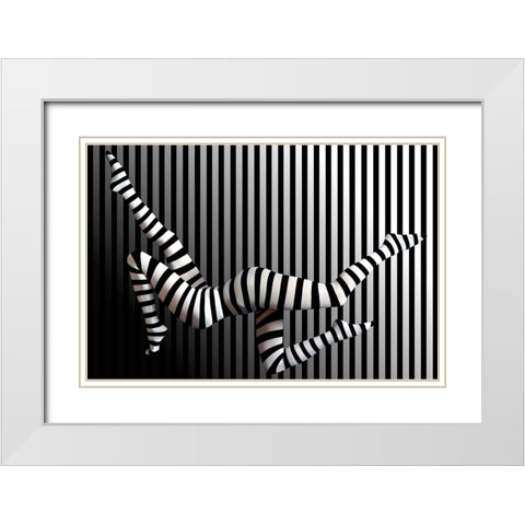 Novelty Striped Four-Leggs No 2 White Modern Wood Framed Art Print with Double Matting by Batzdorf, Erhard