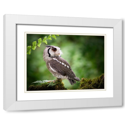 180Ad White Modern Wood Framed Art Print with Double Matting by Groth, Martin